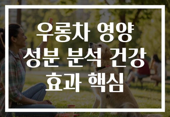 우롱차 영양 성분 분석 건강 효과 핵심