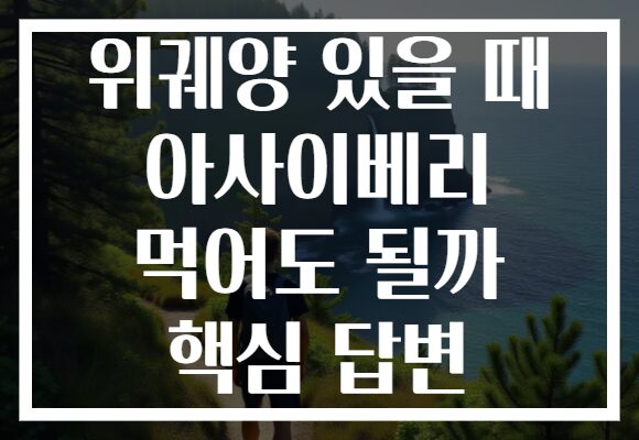 위궤양 있을 때 아사이베리 먹어도 될까 핵심 답변
