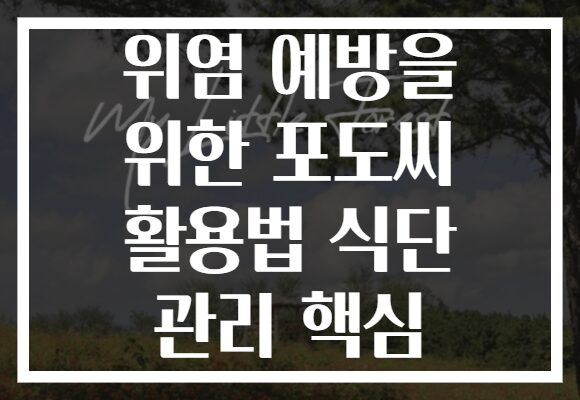 위염 예방을 위한 포도씨 활용법 식단 관리 핵심