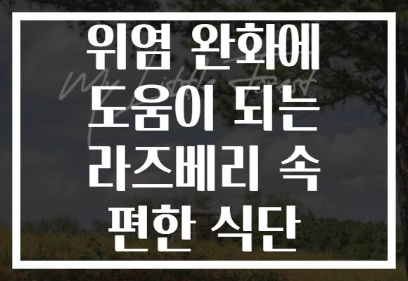 위염 완화에 도움이 되는 라즈베리 속 편한 식단