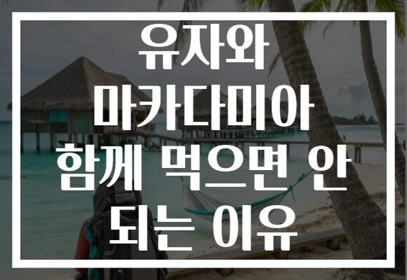 유자와 마카다미아 함께 먹으면 안 되는 이유