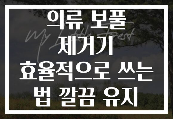 의류 보풀 제거기 효율적으로 쓰는 법 깔끔 유지