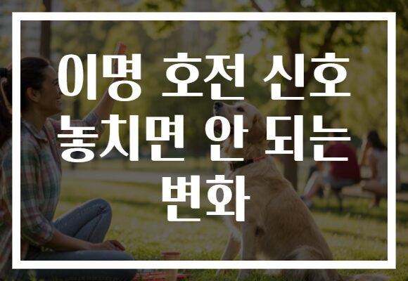 이명 호전 신호 놓치면 안 되는 변화