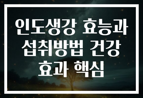 인도생강 효능과 섭취방법 건강 효과 핵심