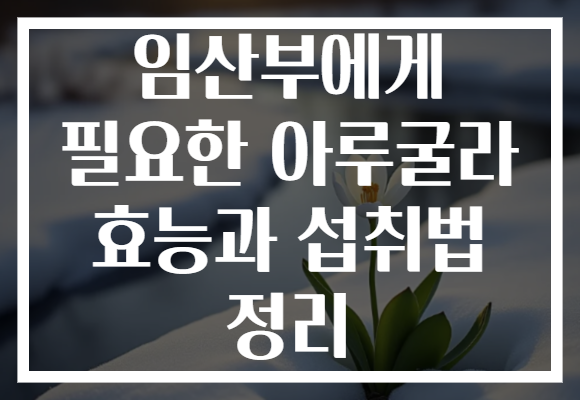 임산부에게 필요한 아루굴라 효능과 섭취법 정리 임산부에게 필요한 아루굴라 효능과 섭취법 정리