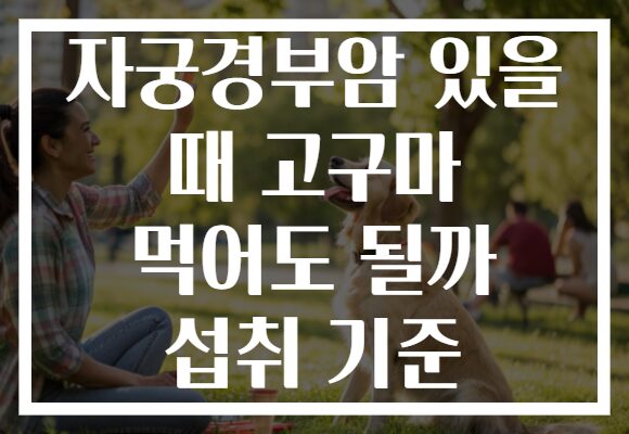 자궁경부암 있을 때 고구마 먹어도 될까 섭취 기준 자궁경부암 있을 때 고구마 먹어도 될까 섭취 기준