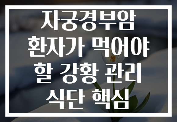 자궁경부암 환자가 먹어야 할 강황 관리 식단 핵심