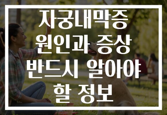자궁내막증 원인과 증상 반드시 알아야 할 정보