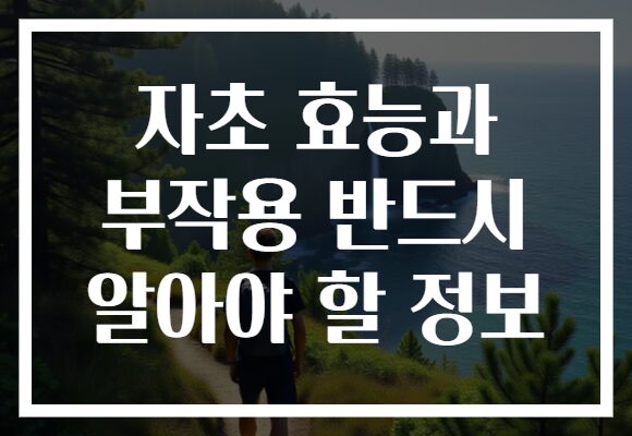 자초 효능과 부작용 반드시 알아야 할 정보