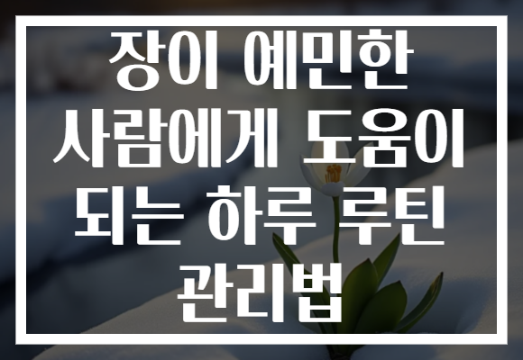 장이 예민한 사람에게 도움이 되는 하루 루틴 관리법