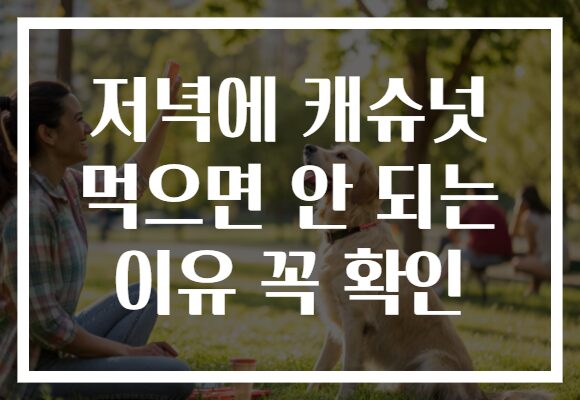 저녁에 캐슈넛 먹으면 안 되는 이유 꼭 확인