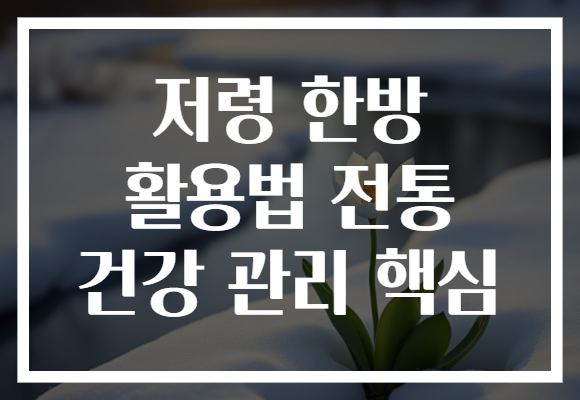 저령 한방 활용법 전통 건강 관리 핵심