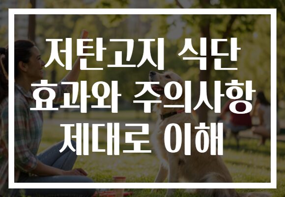 저탄고지 식단 효과와 주의사항 제대로 이해