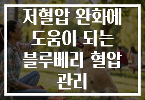 저혈압 완화에 도움이 되는 블루베리 혈압 관리