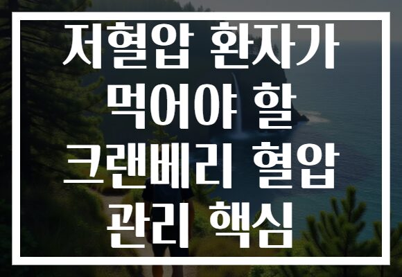 저혈압 환자가 먹어야 할 크랜베리 혈압 관리 핵심