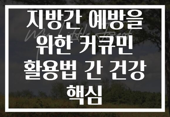 지방간 예방을 위한 커큐민 활용법 간 건강 핵심