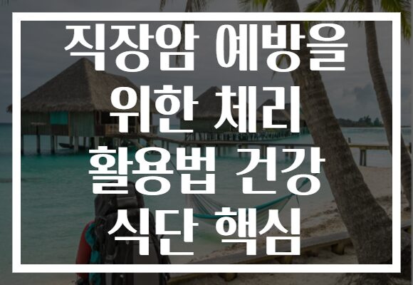 직장암 예방을 위한 체리 활용법 건강 식단 핵심