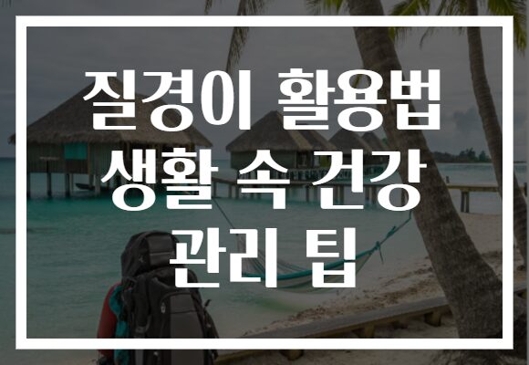 질경이 활용법 생활 속 건강 관리 팁
