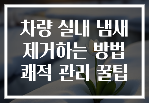 차량 실내 냄새 제거하는 방법 쾌적 관리 꿀팁