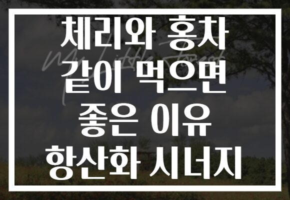 체리와 홍차 같이 먹으면 좋은 이유 항산화 시너지