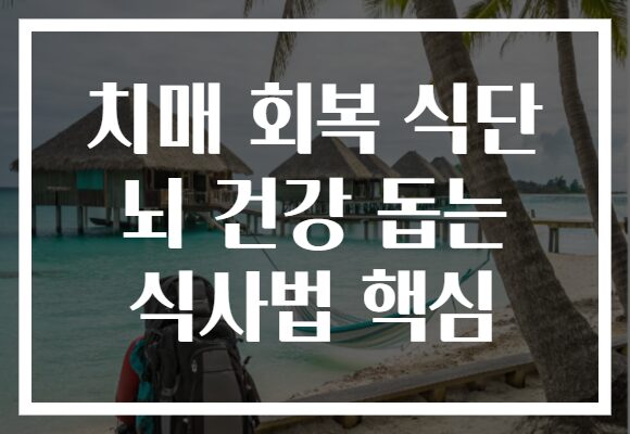치매 회복 식단 뇌 건강 돕는 식사법 핵심