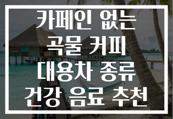 카페인 없는 곡물 커피 대용차 종류 건강 음료 추천