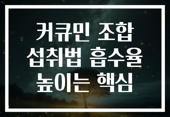 커큐민 조합 섭취법 흡수율 높이는 핵심