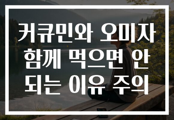 커큐민와 오미자 함께 먹으면 안 되는 이유 주의