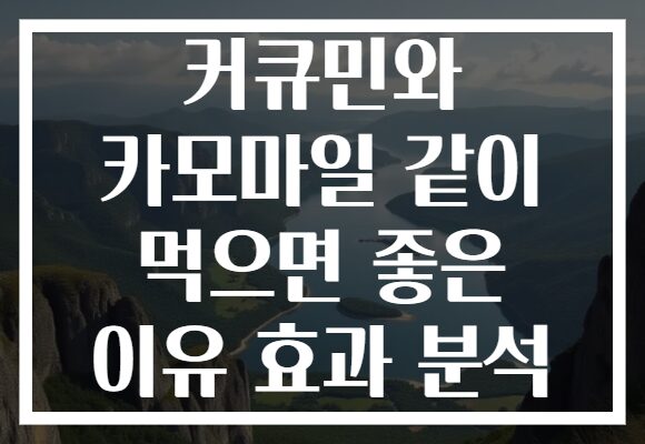 커큐민와 카모마일 같이 먹으면 좋은 이유 효과 분석