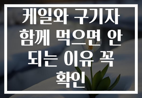 케일와 구기자 함께 먹으면 안 되는 이유 꼭 확인