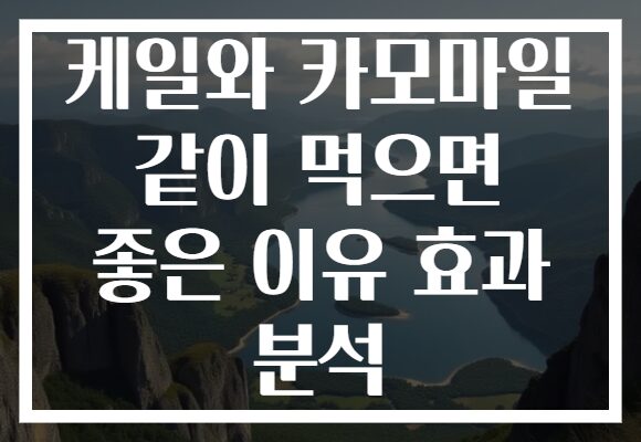 케일와 카모마일 같이 먹으면 좋은 이유 효과 분석