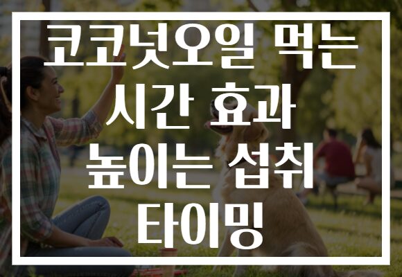 코코넛오일 먹는 시간 효과 높이는 섭취 타이밍 코코넛오일 먹는 시간 효과 높이는 섭취 타이밍