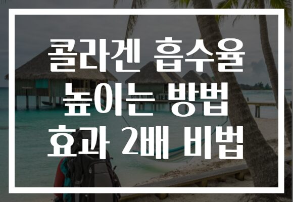 콜라겐 흡수율 높이는 방법 효과 2배 비법