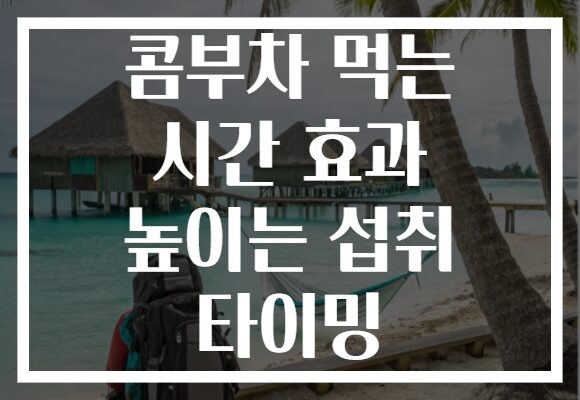 콤부차 먹는 시간 효과 높이는 섭취 타이밍