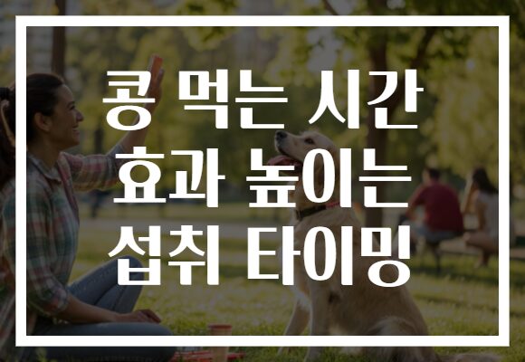 콩 먹는 시간 효과 높이는 섭취 타이밍