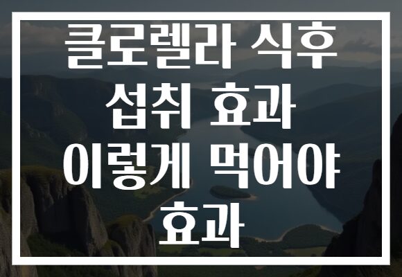 클로렐라 식후 섭취 효과 이렇게 먹어야 효과