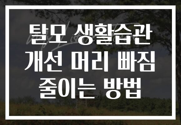 탈모 생활습관 개선 머리 빠짐 줄이는 방법