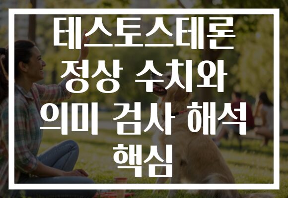 테스토스테론 정상 수치와 의미 검사 해석 핵심