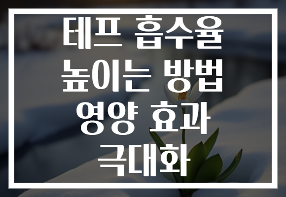 테프 흡수율 높이는 방법 영양 효과 극대화
