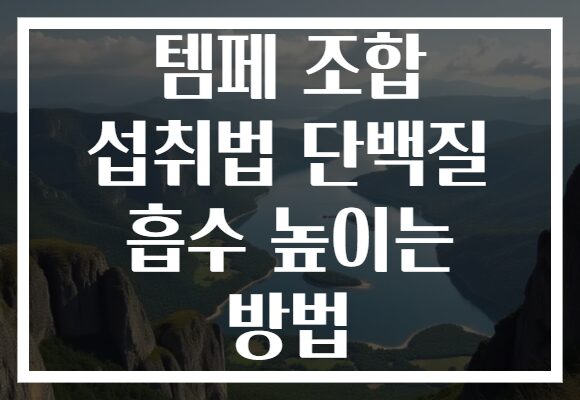 템페 조합 섭취법 단백질 흡수 높이는 방법