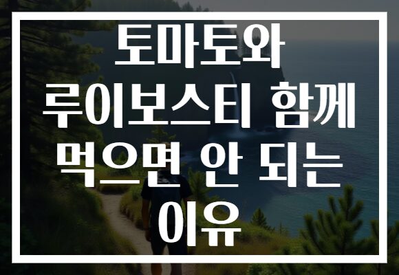 토마토와 루이보스티 함께 먹으면 안 되는 이유