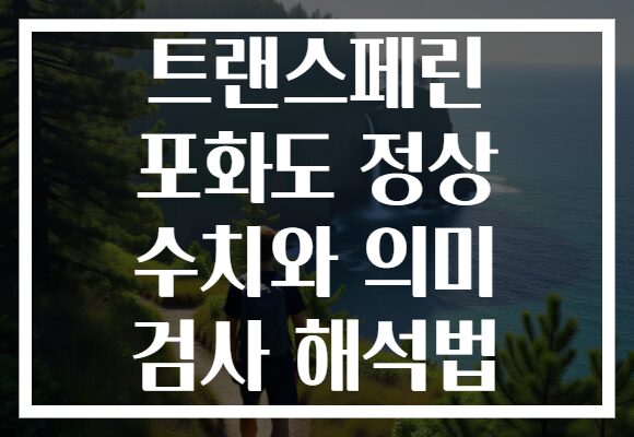 트랜스페린 포화도 정상 수치와 의미 검사 해석법