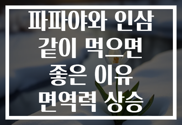 파파야와 인삼 같이 먹으면 좋은 이유 면역력 상승