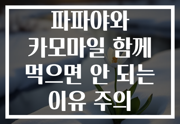 파파야와 카모마일 함께 먹으면 안 되는 이유 주의