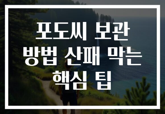 포도씨 보관 방법 산패 막는 핵심 팁