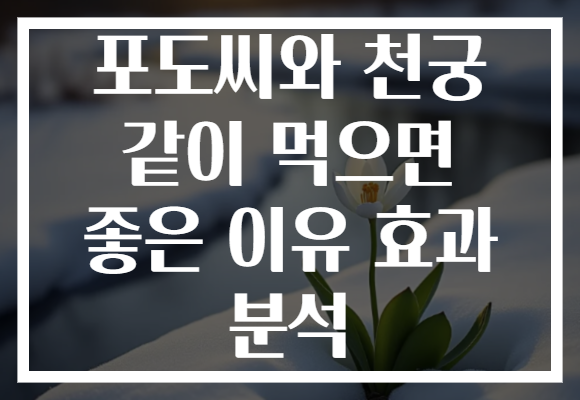 포도씨와 천궁 같이 먹으면 좋은 이유 효과 분석