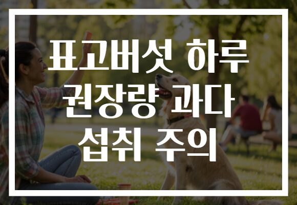표고버섯 하루 권장량 과다 섭취 주의