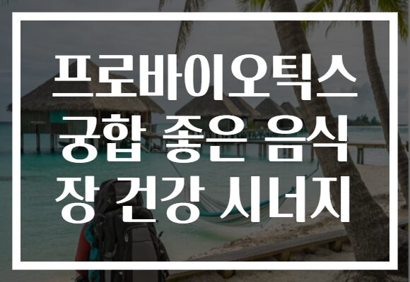 프로바이오틱스 궁합 좋은 음식 장 건강 시너지