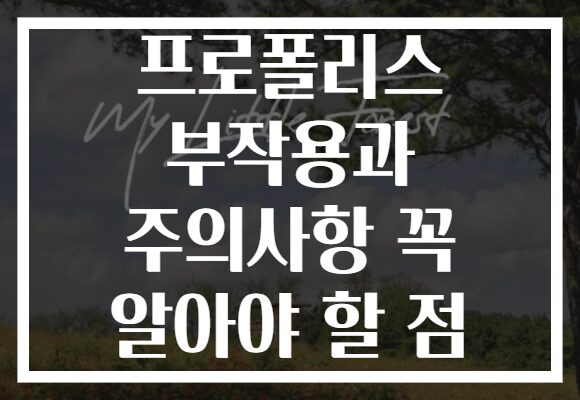 프로폴리스 부작용과 주의사항 꼭 알아야 할 점