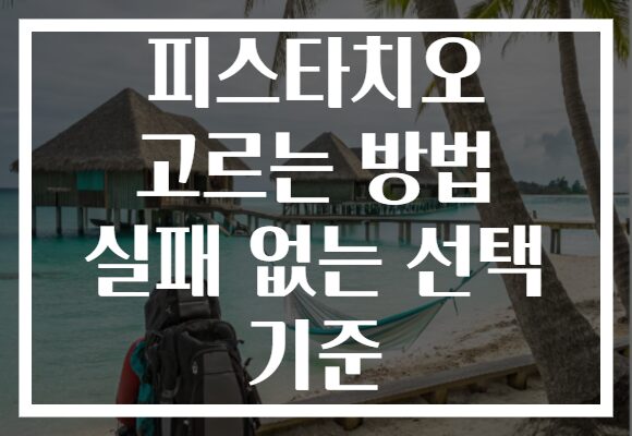 피스타치오 고르는 방법 실패 없는 선택 기준